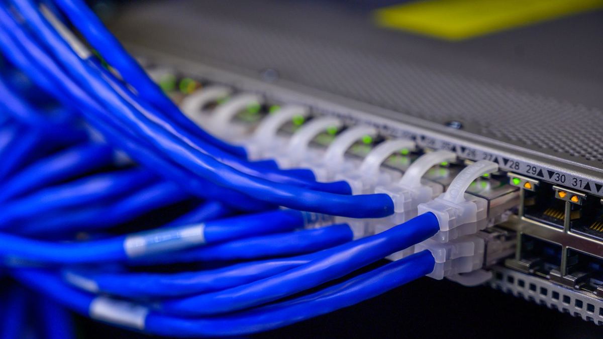 Structured cabling: labelled blue Ethernet cables neatly patched into a network switch